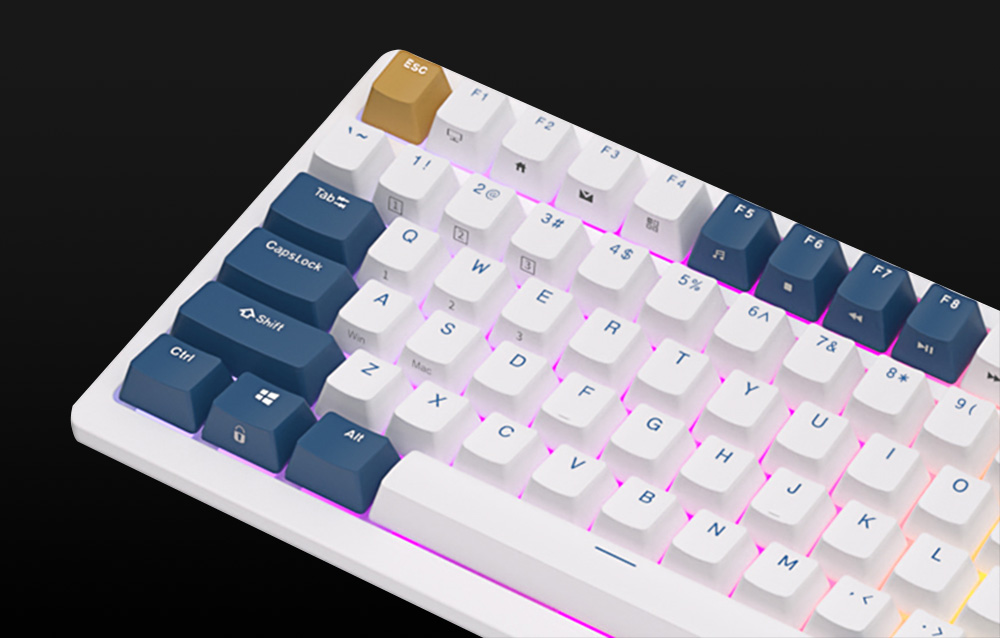 Royal-Kludge/RK98-bleu/7