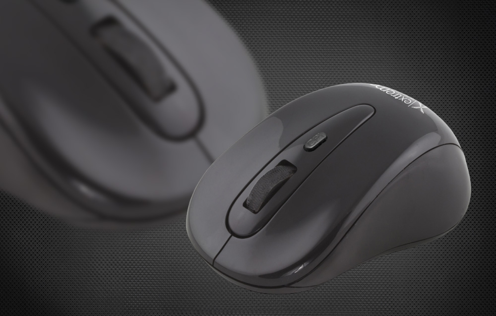 Récepteur NANO intégré de la souris