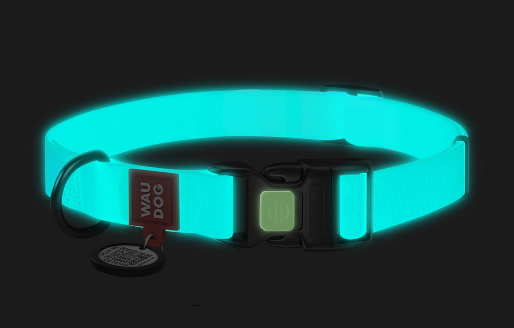 Collier lumineux pour chien