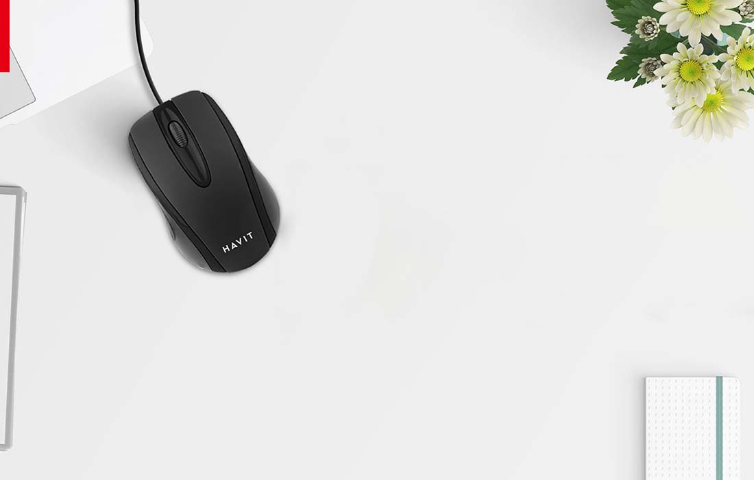 USB 2.0 et défilement silencieux de la souris Havit MS753