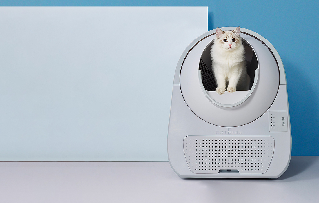 CatLink Scooper Jeune