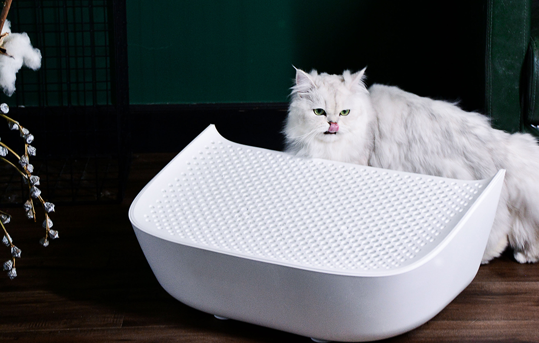Chat utilisant l'escalier CatLink