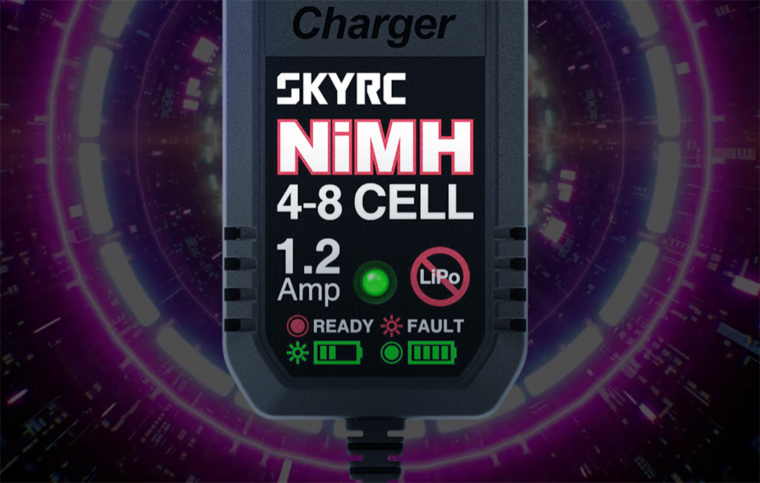 Image du chargeur SkyRC eN18