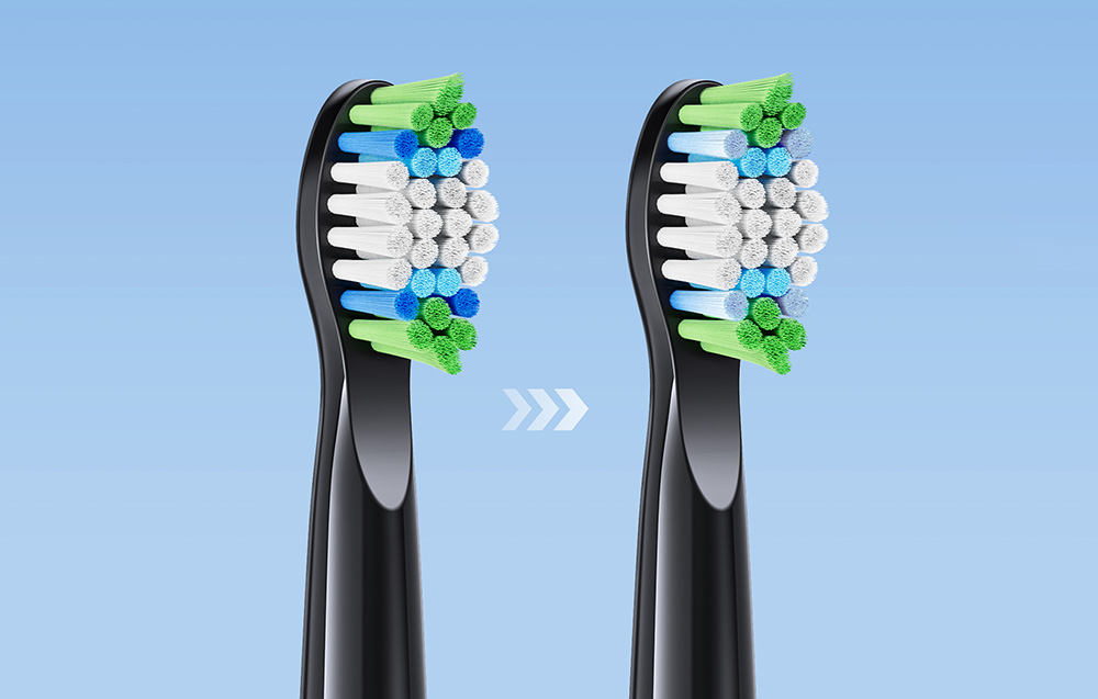 Têtes de Brosse à Dents Bitvae D2