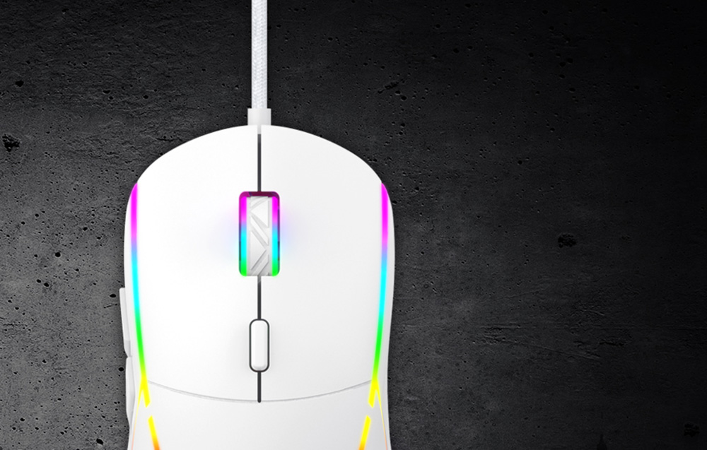 Souris de Jeu Havit MS961