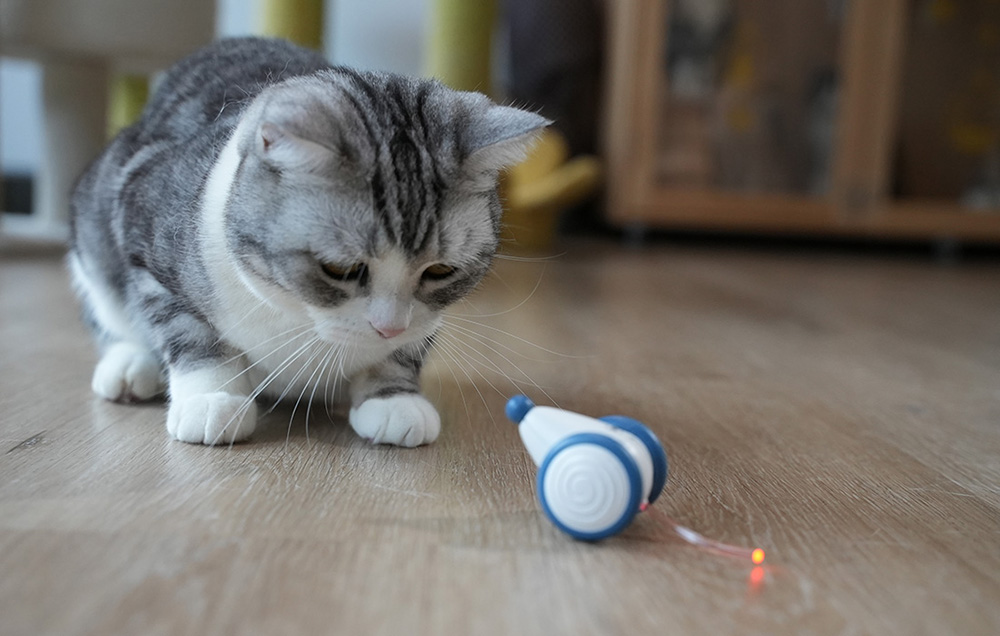 Cheerble Wicked Mouse Jouet interactif pour chat