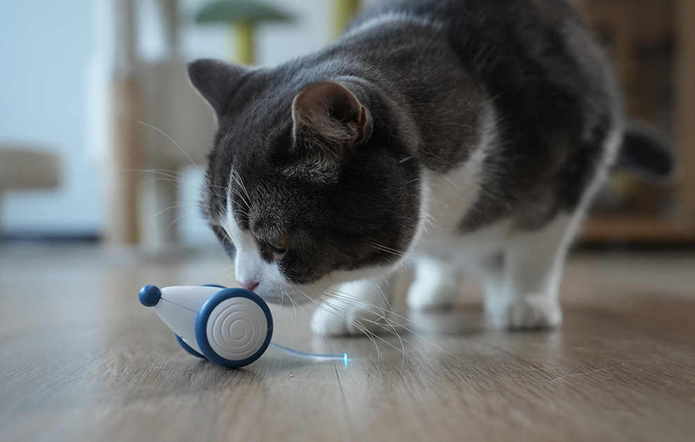 Cheerble Wicked Mouse en mode veille