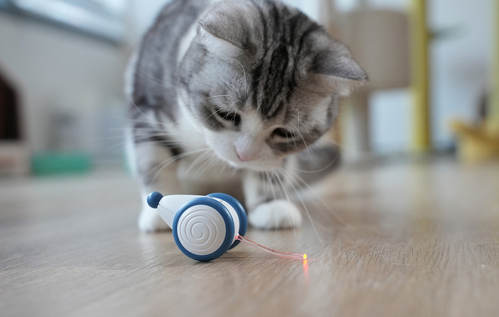 Cheerble Wicked Mouse avec câble de chargement