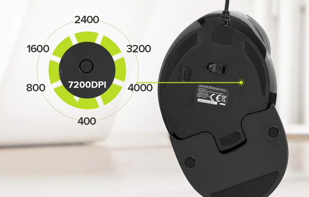 Souris vue de face