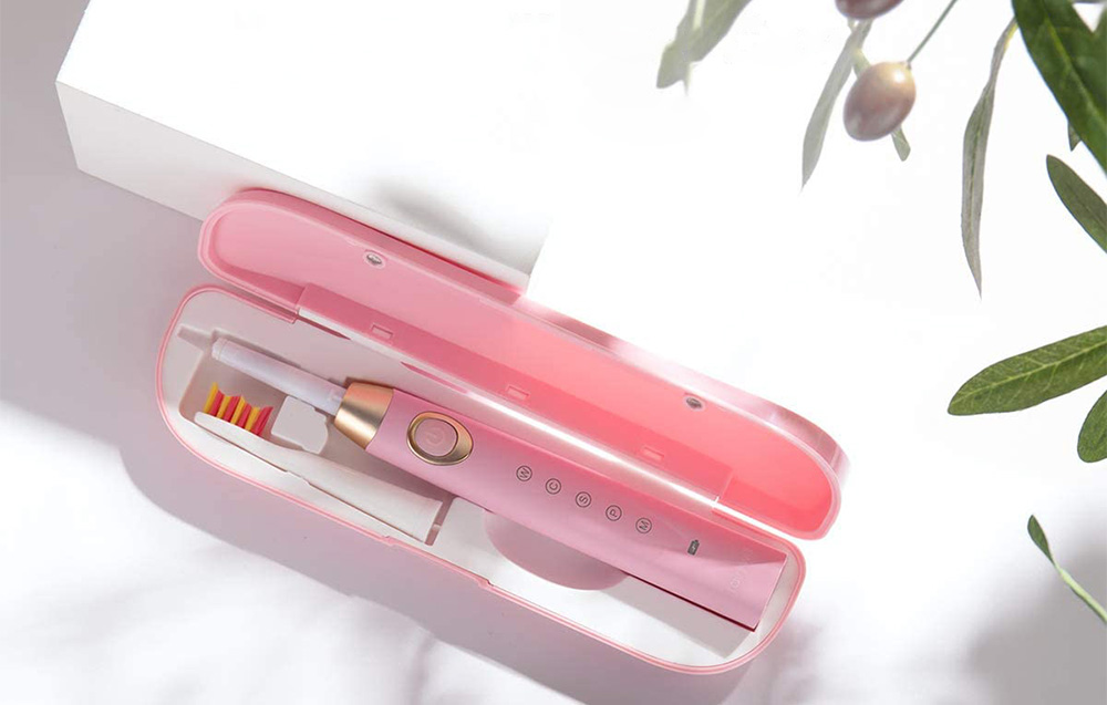 brosse à dents FairyWill FW-508 en charge