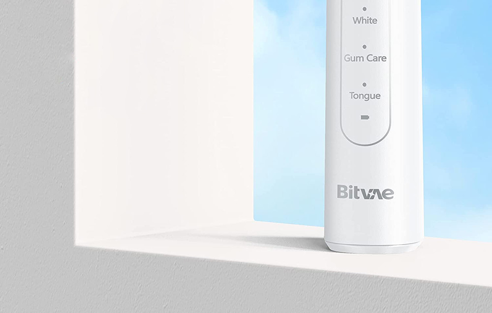 BITVAE/R2-Whiteheadscase/8