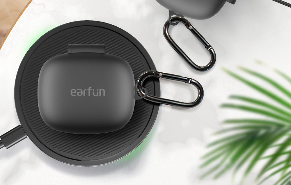 EarFun étui noir