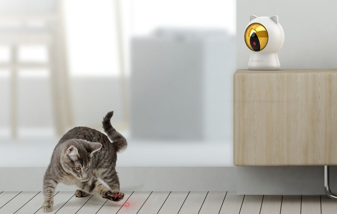 Chat jouant avec le laser Petoneer Smart Dot