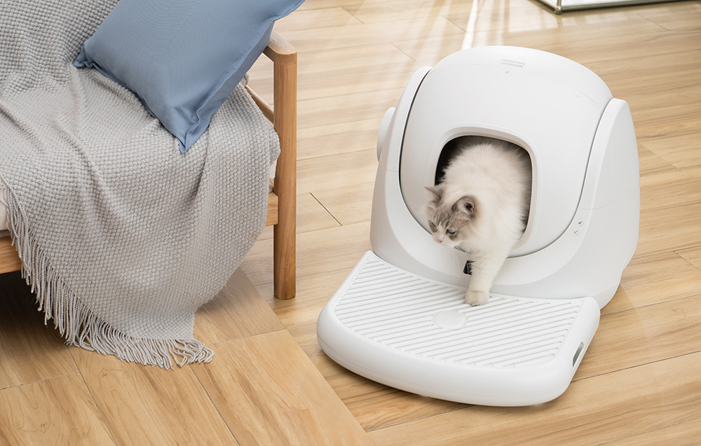Escaliers Catlink/CL-CA-01/1