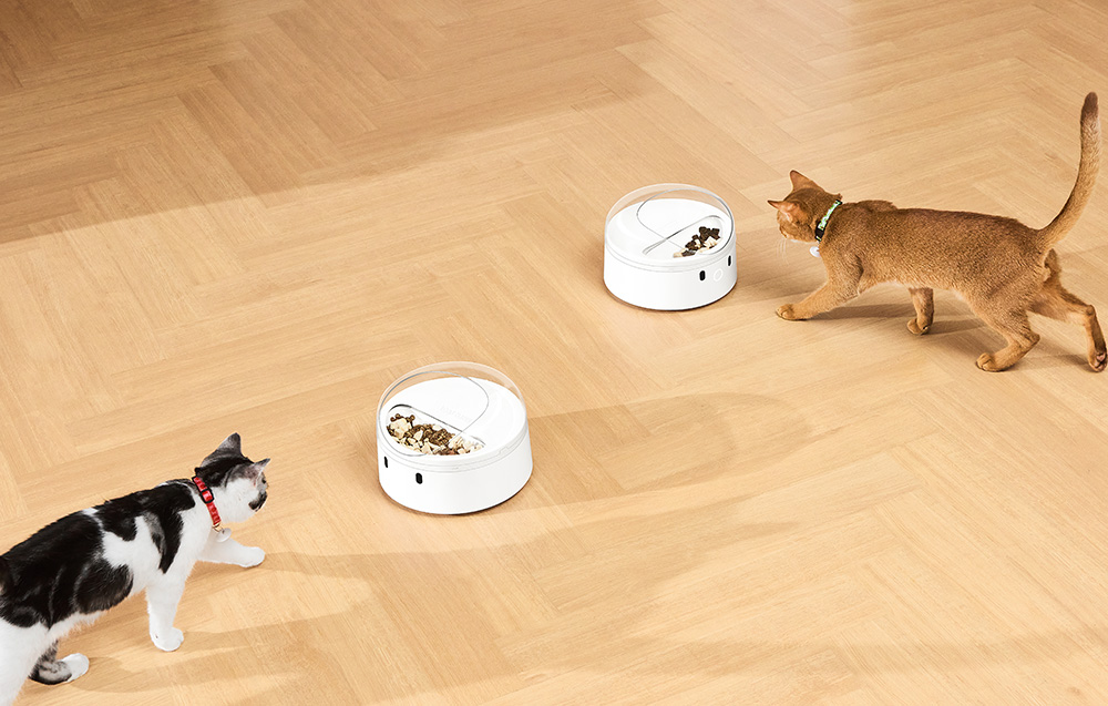 Catlink/Distributeur-F03-STD/3