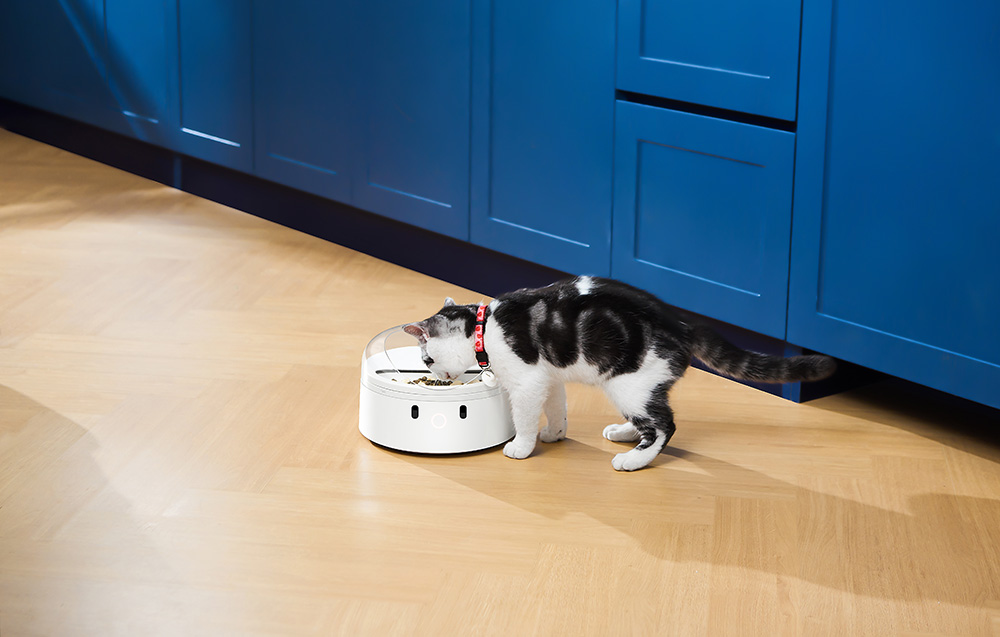 Catlink/Distributeur-F03-STD/5