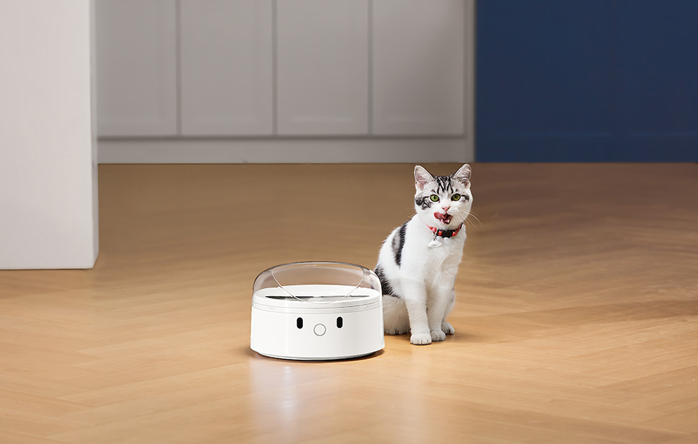 Catlink/Distributeur-F03-STD/6