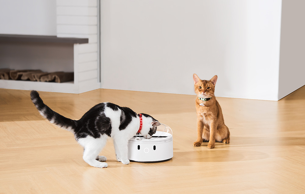 Catlink/Distributeur-F03-STD/4