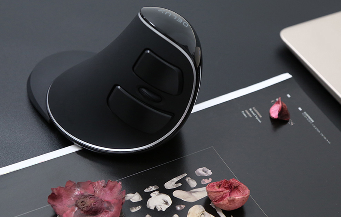 Souris DELUX vue 5