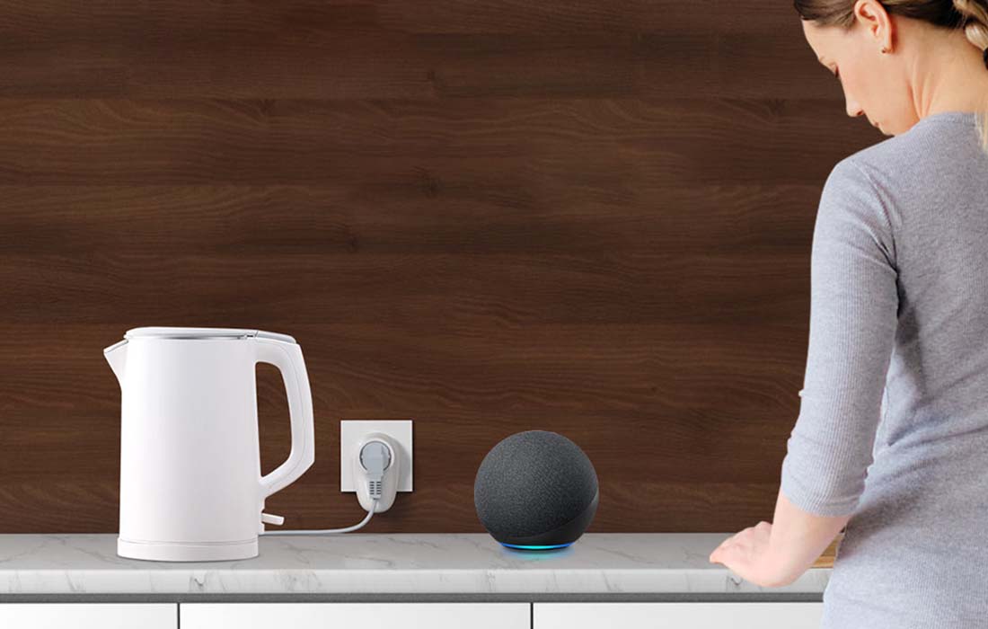 Voice control capability