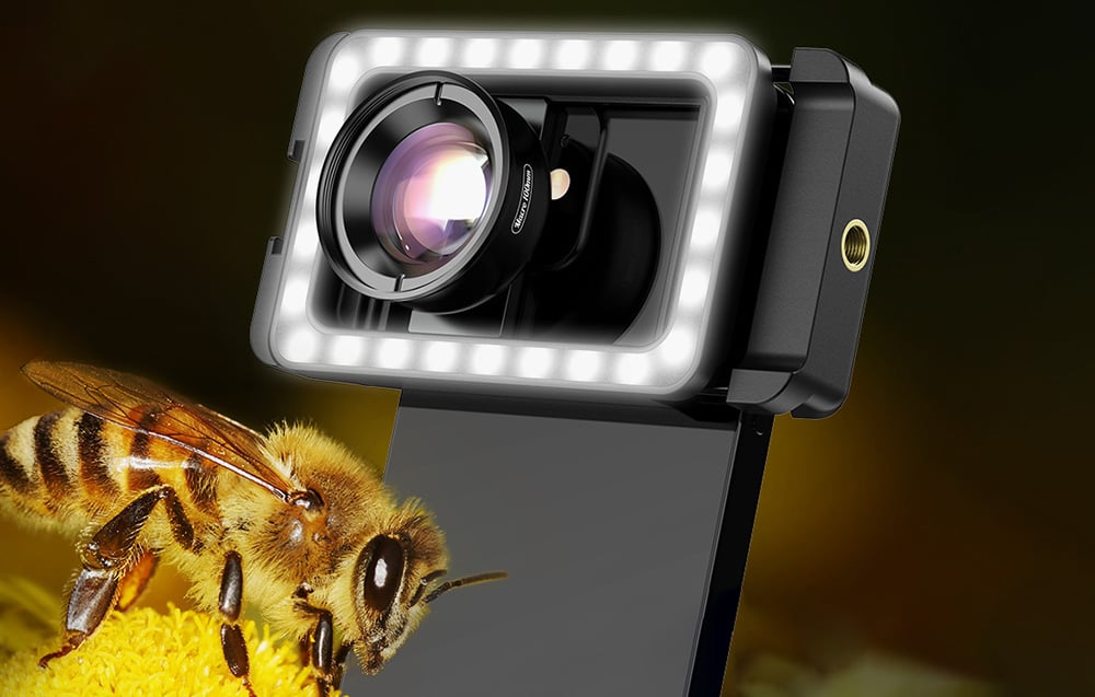 Qualité d'Image 4K Full HD