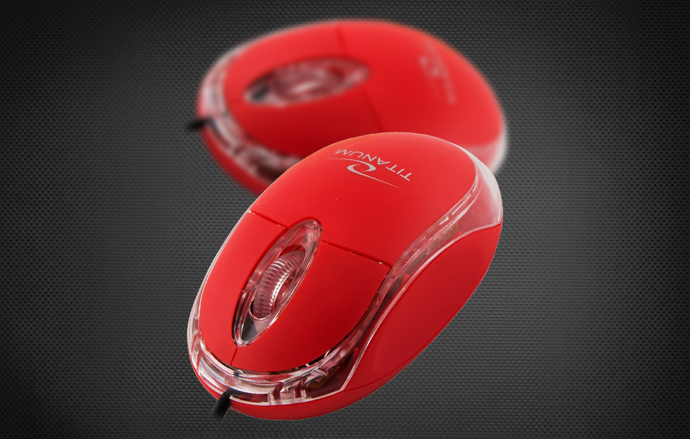 Souris Esperanza TM102R tenant dans la main