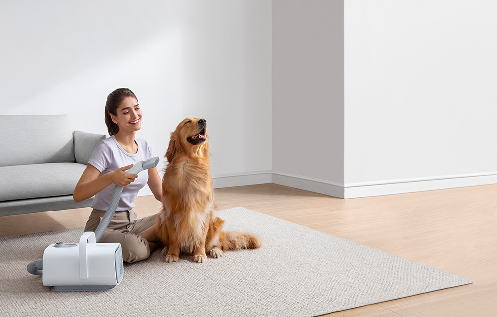 Séchoir pour poils d'animaux HomeRunPet PD10